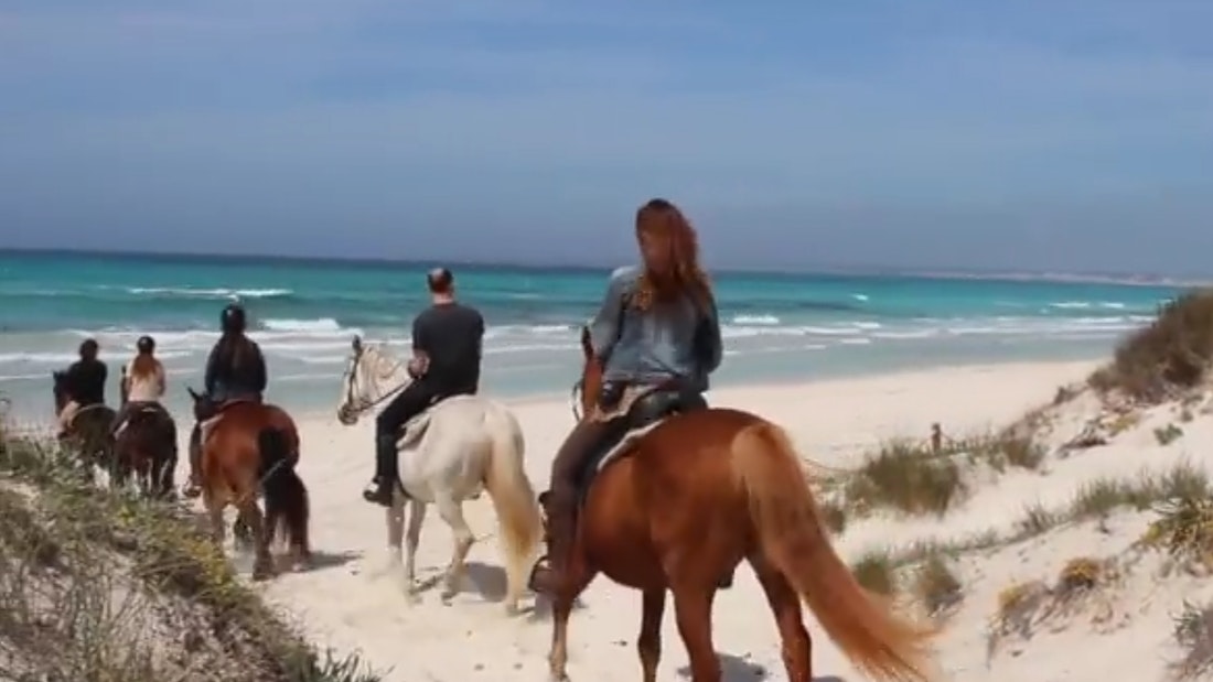 hurghada-ausflug-reiten-wueste-strand